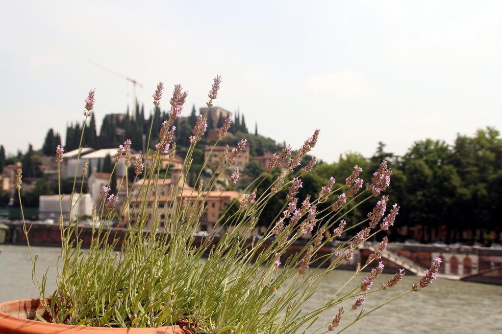 Sottoriva36 Bed & Breakfast Verona Bagian luar foto